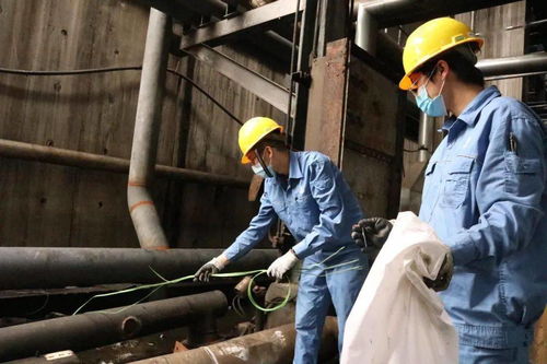 青春在檢修現場閃光 公司機關青年突擊隊助力裝置大修，以擔當詮釋責任